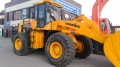 Lonking CDM856 [3]