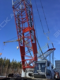 QUY 260 [2]