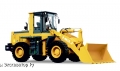 Changlin ZL30H [1]