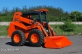 Locust L1203 [0]
