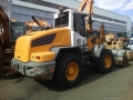 Liebherr L 524 [2]