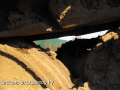 Caterpillar 350 [13]