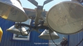Wacker Neuson LTN6L [1]