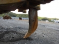 Komatsu D375A-5 [4]