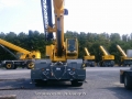 Grove 5560B [1]