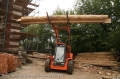 Locust L1203 [3]