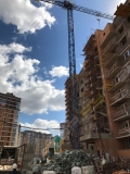 Linden Comansa 5 LC 5010 [1]