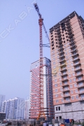Dongjian QTZ80 [1]