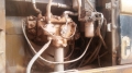 Caterpillar 320C L [7]