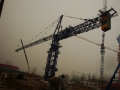 QTZ 500 8035 [0]