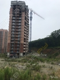 Yongmao STT553 (20t) [1]