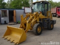 Fukai ZL926 [1]