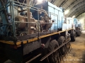 КамАЗ 43114 [3]