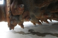 Wirtgen W 130 Fi [7]