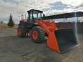 Hitachi ZW 220 [2]
