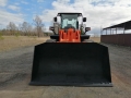 Hitachi ZW 220 [3]