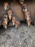 Wirtgen W 100 F [4]