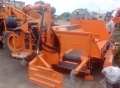 Strassmayr BF 290 [1]