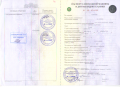 ЧТЗ Б11 [9]