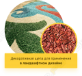 Станколес-Трейд Дровосек М600 [4]