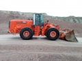 Hitachi ZW 370-G [4]