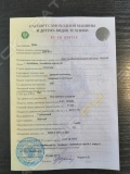 Челябинец ДЭК-631А [8]