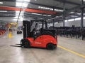 FE4P50N [1]