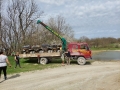 Hino 300 [8]