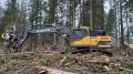 EC220DL [11]