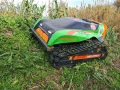 MDB Green Climber F23 [1]