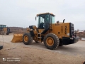 Guchi ZL 30 [7]