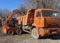 Locust L752 [1]