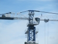 Dongjian QTZ125B [8]
