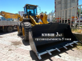 955T [0]