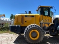 955T [1]