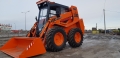 Locust L1203 [0]