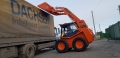 Locust L1203 [1]