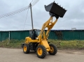 Builder ZL30 [23]