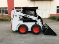 Bull SL700 [1]