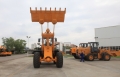 Lonking CDM835 [3]