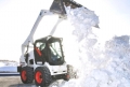 Bobcat S175 [0]