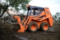 Locust L752 [2]