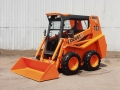 Locust L752 [3]