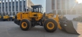 955T [2]