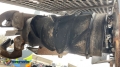 Wirtgen W 2000 [13]