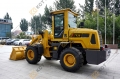 T938 [17]