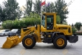 T938 [13]