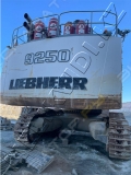 Liebherr R 9250 [5]