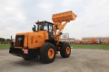 Lonking CDM853 [3]