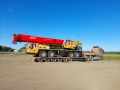 STC1200T5 [1]